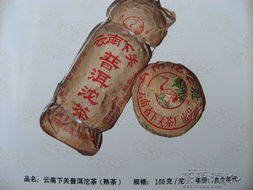 新葉精品普洱圖錄 一葉一世界，感謝高山饋贈